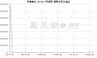 華峰氨綸 002064 提取法定公益金