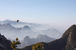 峰華專題模板-峰華